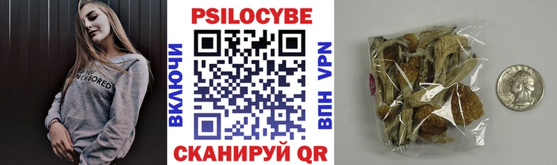 Псилоцибиновые грибы Psilocybe  продажа наркотиков  Ядрин 